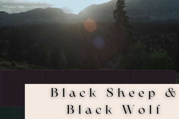 Black Sheep & Black Wolf