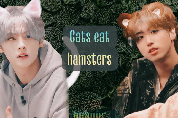 Cats eat hamsters