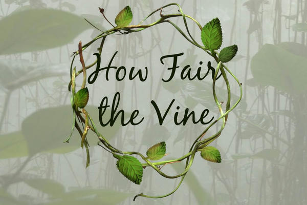 How Fair the Vine | Как чудна лоза