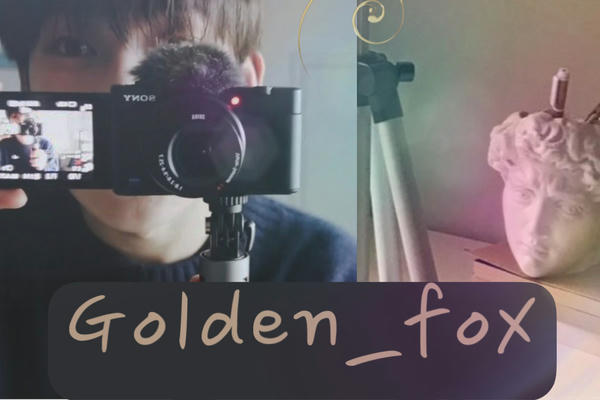 Golden_fox