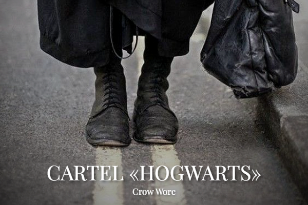 Сериал «Картель: Хогвартс»