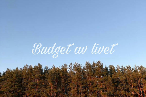 Budget av livet — Связанные жизнью