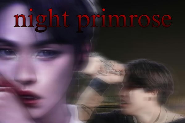night primrose