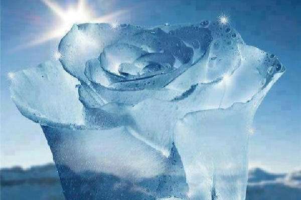 Баллада о ледяном цветке