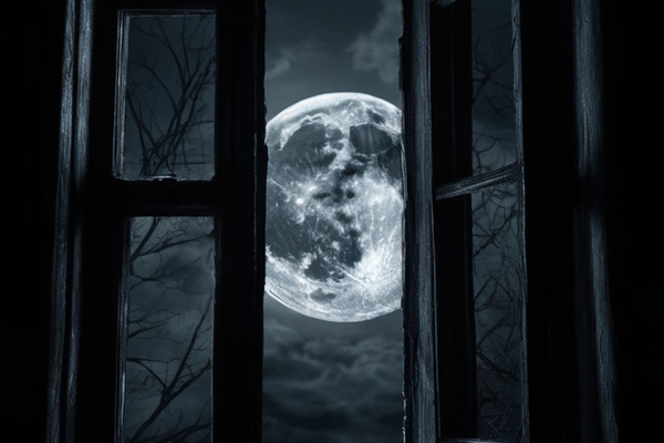 Луна зовет меня во мрак