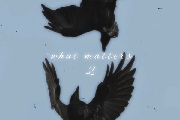 `what matters 2: 𝓯𝓸𝓻 unknown reasons