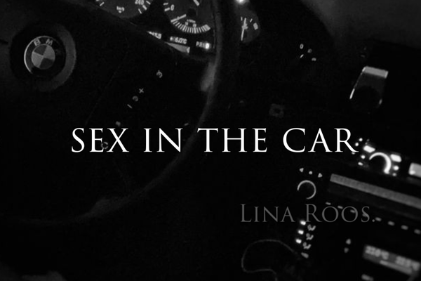 sex in the car.