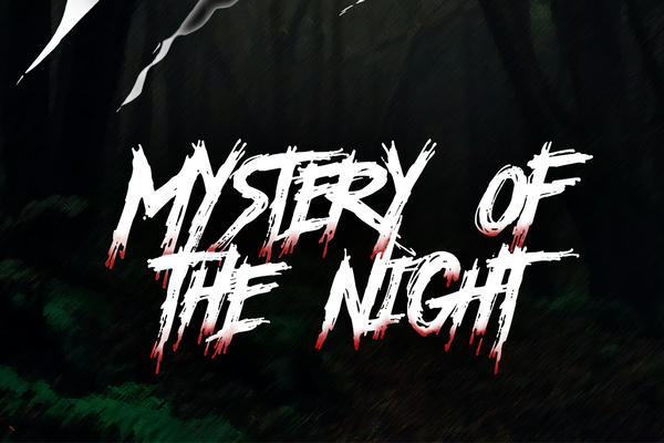Mystery of the night