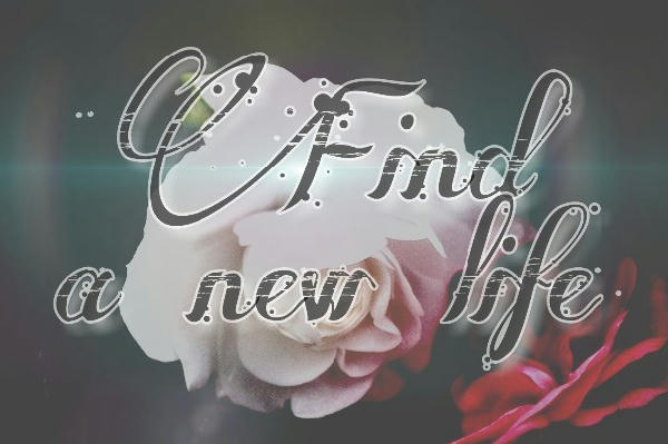 Find a new life