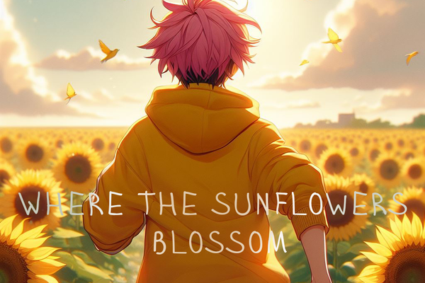 Where the Sunflowers Blossom
